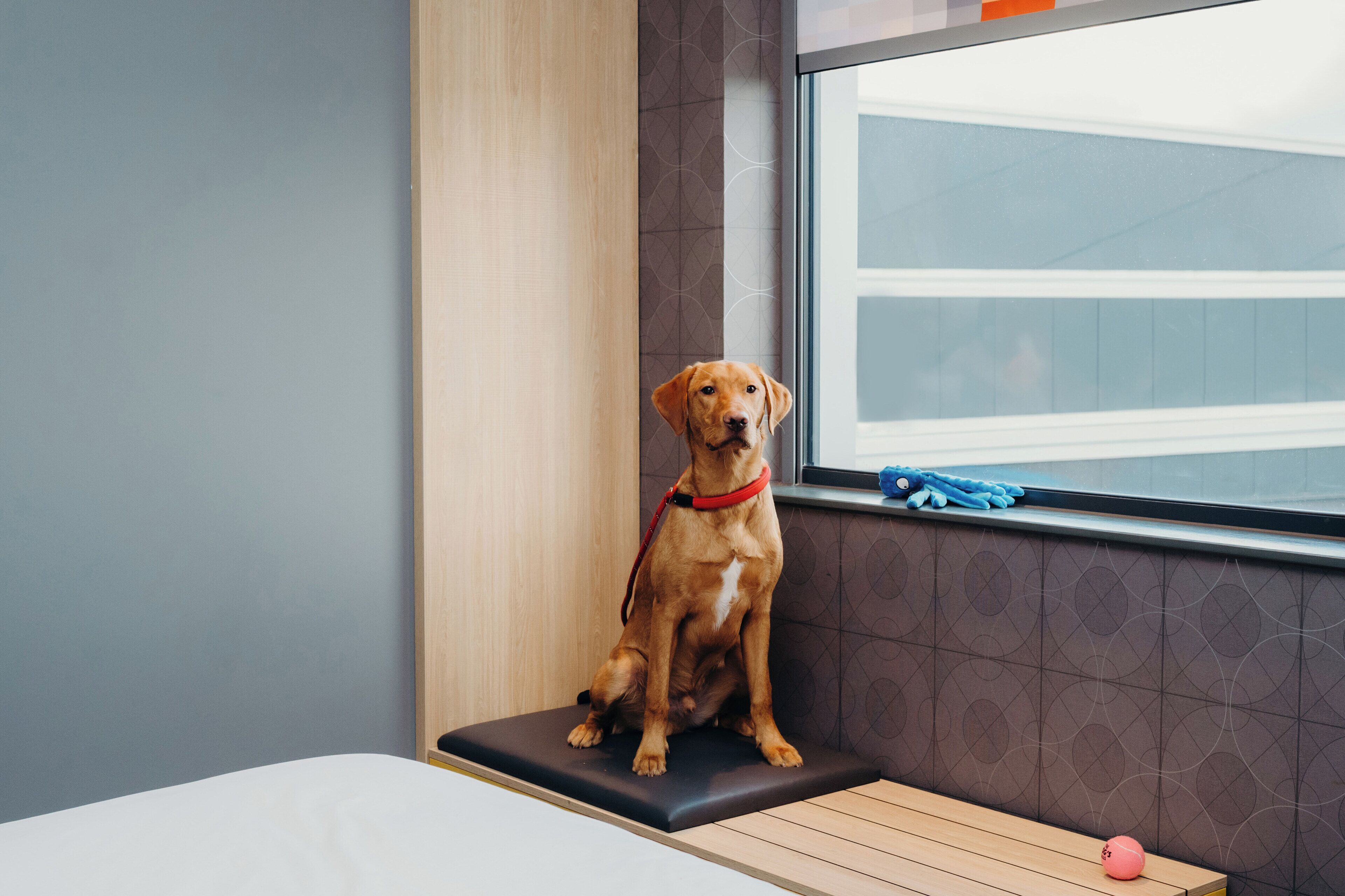 1 bedroom, in-room safe, desk, laptop workspace