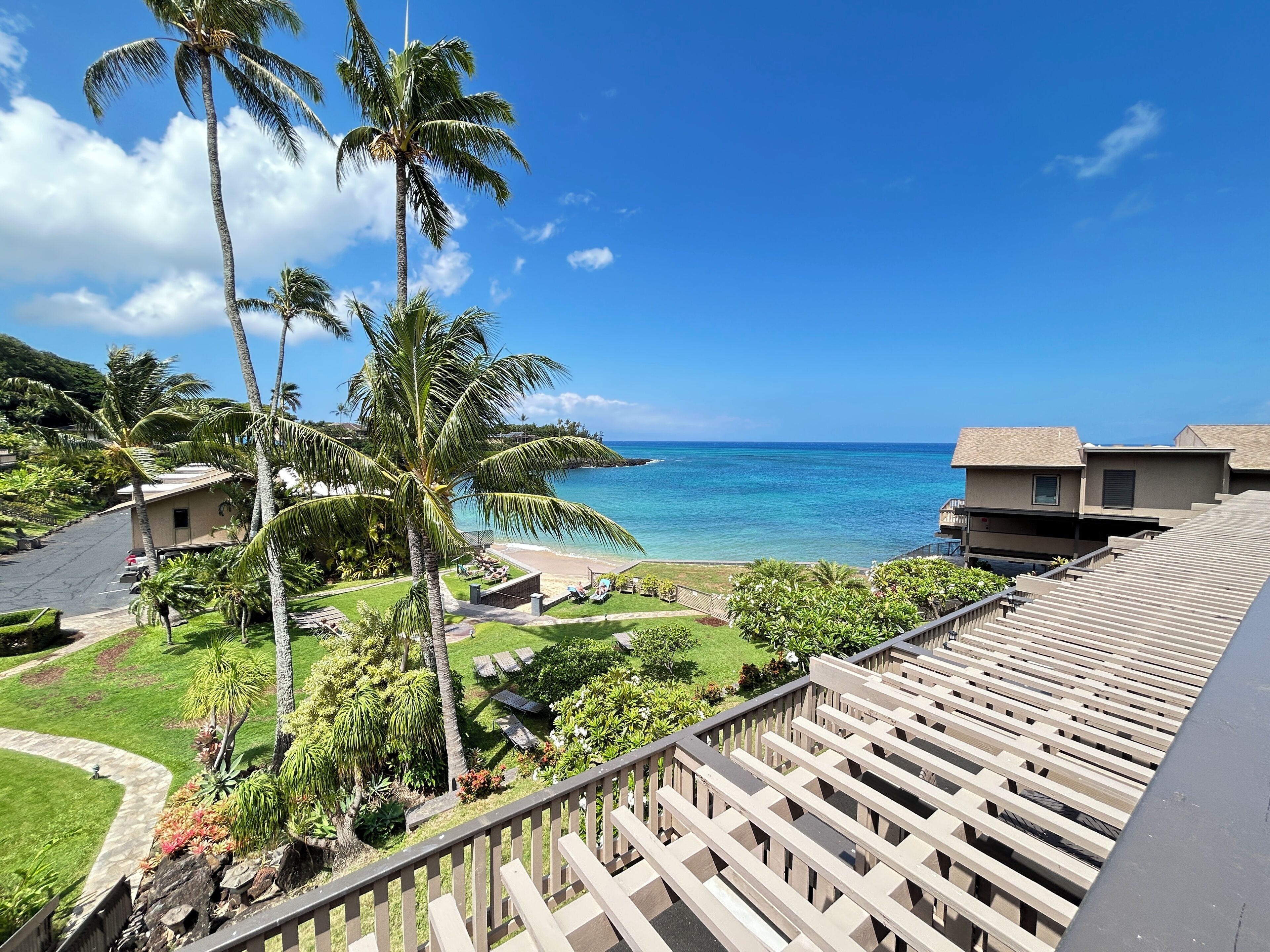 A residential area with a view of the ocean, palm trees, and a clear sky.