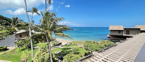 A residential area with a view of the ocean, palm trees, and a clear sky.