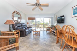 TV, Netflix, DVD player, streaming services