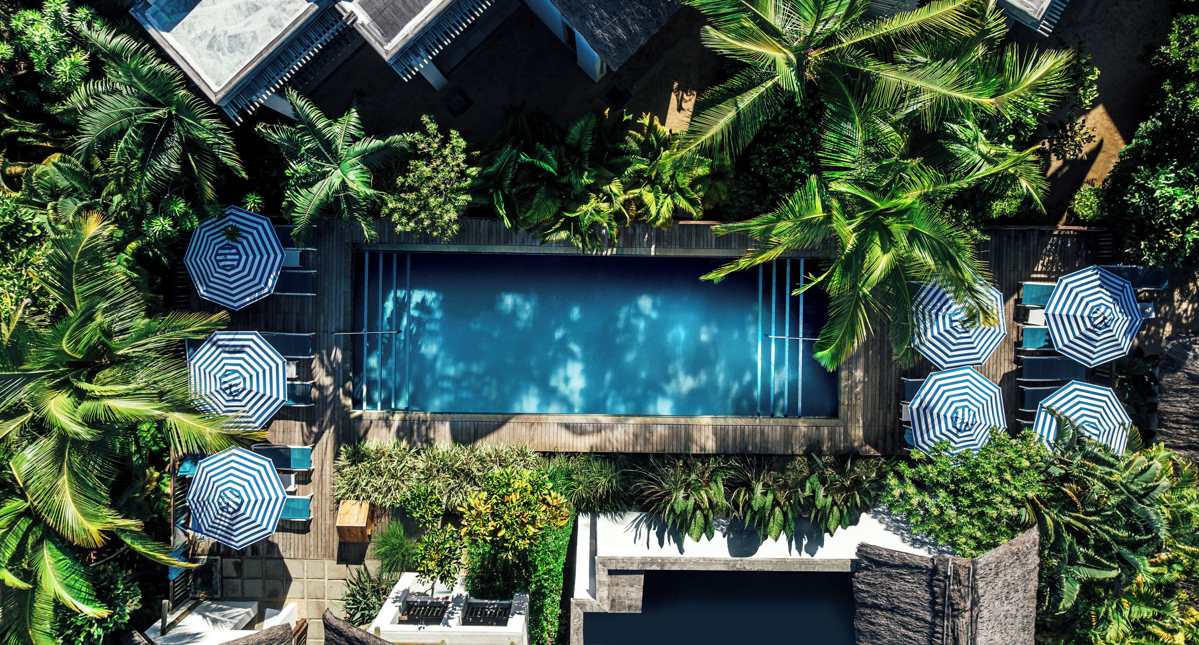 A rooftop pool surrounded by lush tropical plants and multiple blue and white striped umbrellas.