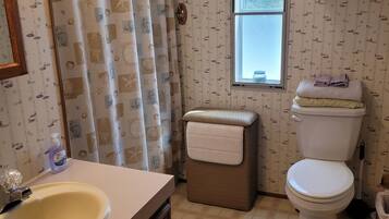 Ensemble douche/baignoire, sèche-cheveux, serviettes fournies, savon
