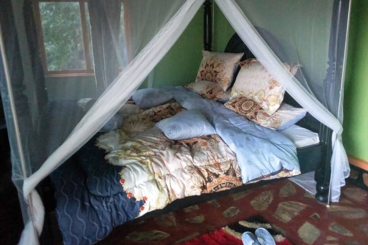 Chambre Simple | Fer et planche à repasser, lits bébé (gratuits), draps fournis