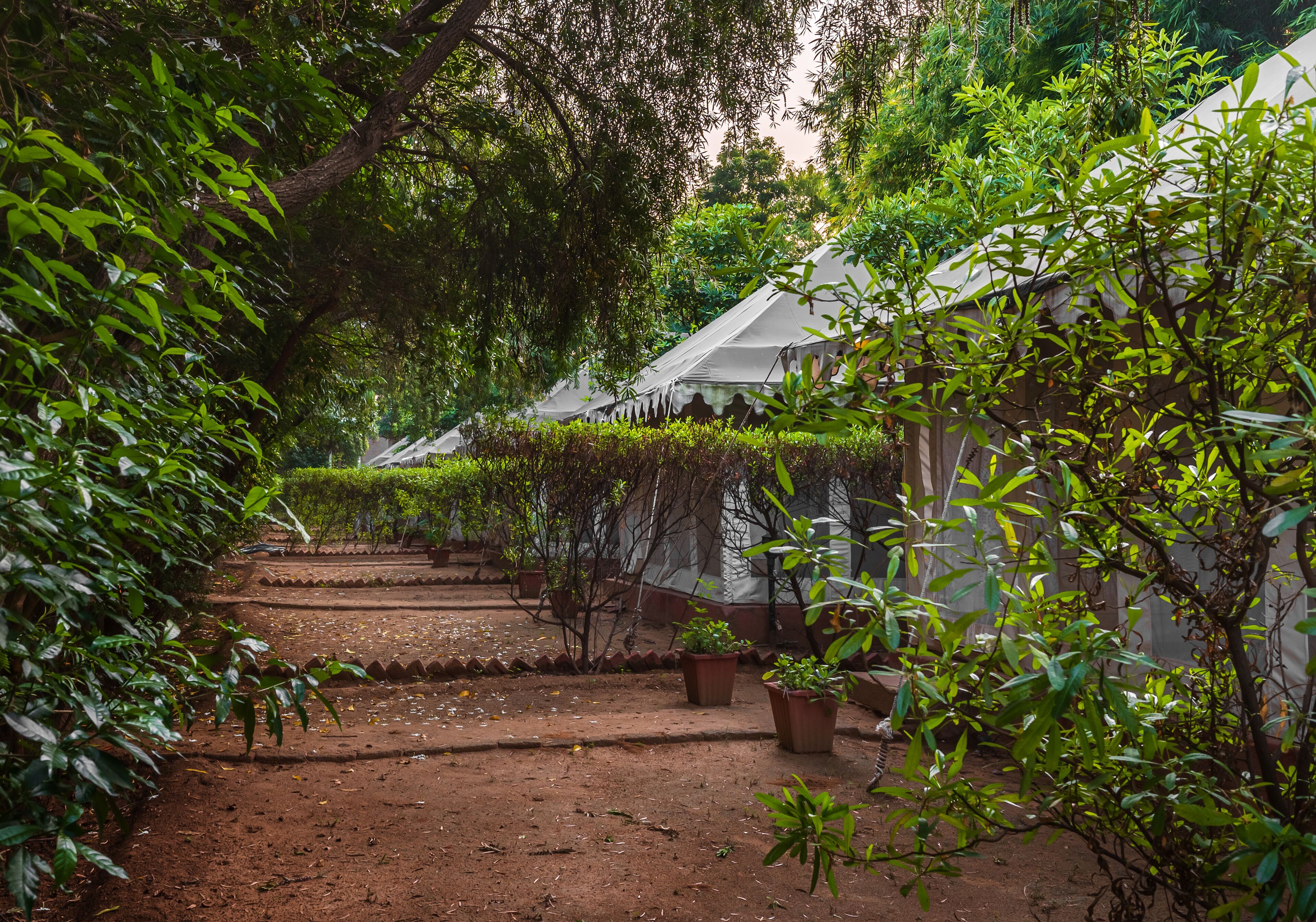 Luxury Tent, Garden View | Garden view