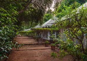 Luxury Tent, Garden View | Garden view