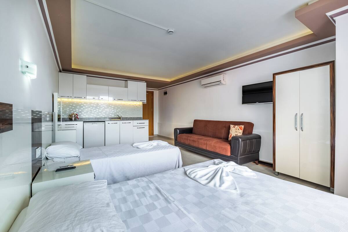 A hotel room with a bed, a sofa, a TV, a wardrobe, and a kitchenette.