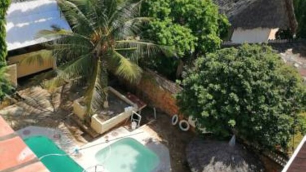 A residential area with a swimming pool, palm trees, and houses with thatched roofs. - Diani Gift Guest House (Diani Beach)