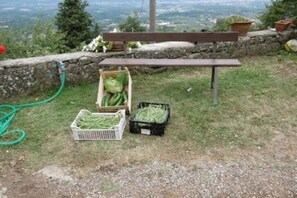 Speisen im Freien