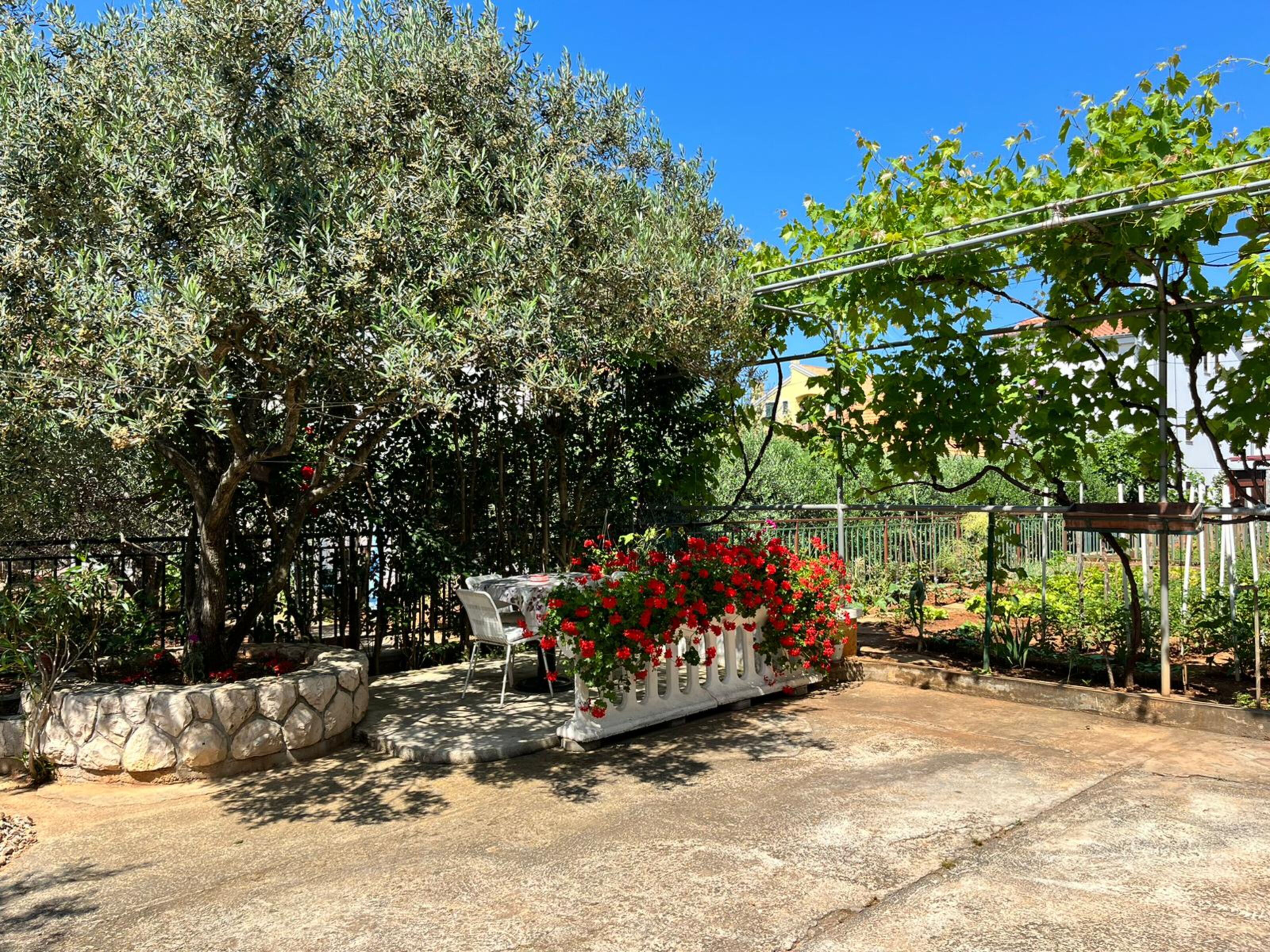 A garden with a stone wall, a white chair, and red flowers.