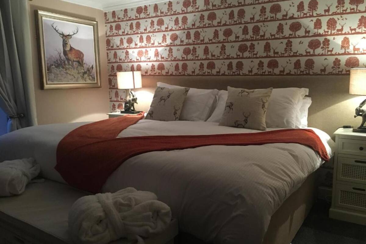 standard room, 1 king bed | premium bedding, desk, iron/ironing board, free wifi