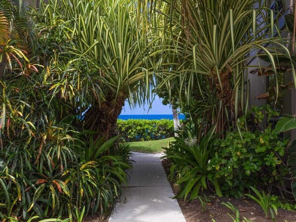 Property grounds - Ocean Views w/Lanai and Laundry-Kanaloa at Kona (KAILUA-KONA)