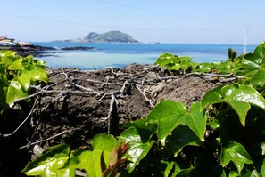 Vue depuis l’hébergement