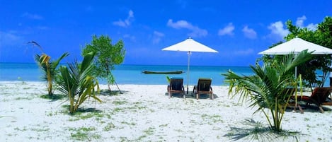 Vue sur la plage/l’océan