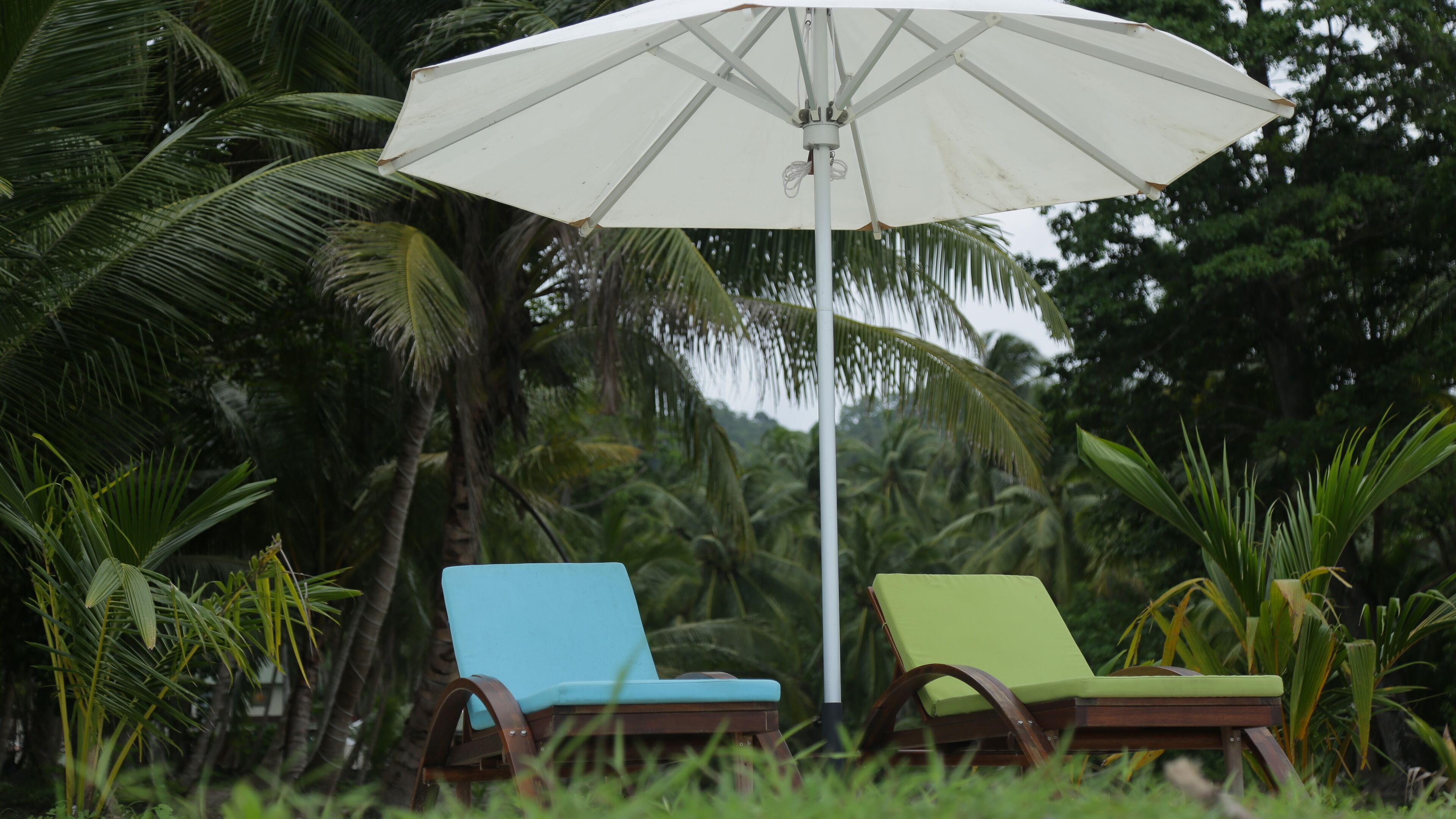 Two lounge chairs under a white umbrella, surrounded by lush greenery.