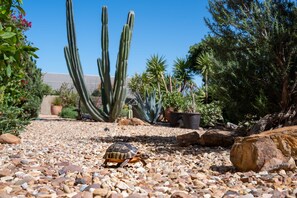Jardines del alojamiento