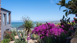 Een tuin met cactussen, paarse bloemen en uitzicht op de oceaan.