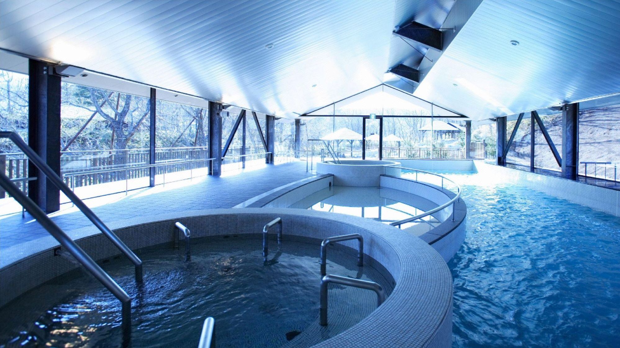 Une piscine intérieure au design incurvé, dotée de parois en verre transparent et offrant une vue sur l’extérieur.
