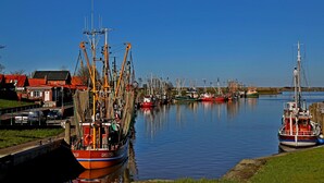 Un puerto con varios barcos pesqueros amarrados, un pequeño edificio de techo rojo y un cielo azul despejado.