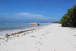 Serviettes de plage