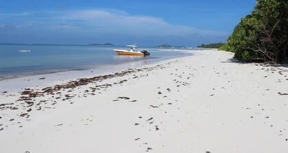 Appartements Chez Antoine pour 4 personnes