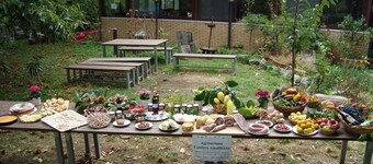 Agriturismo Costiera Amalfitana