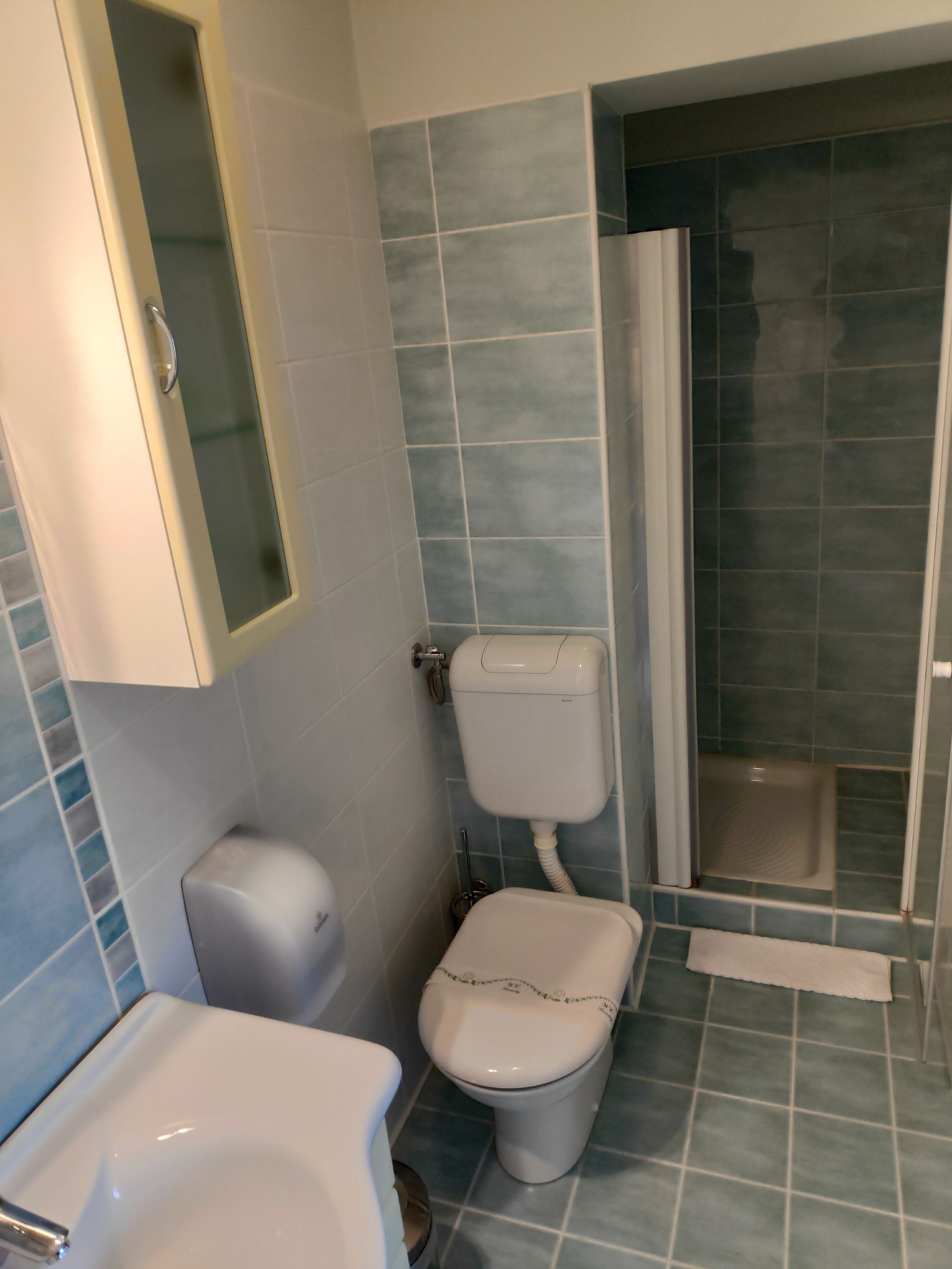 A bathroom with a toilet, bidet, and shower.