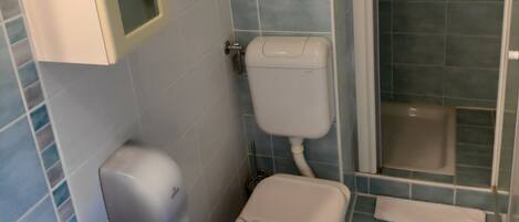 A bathroom with a toilet, bidet, and shower.