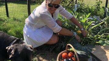 Family Apartment, Courtyard View (L' Ecrin des Capucines ) | Garden