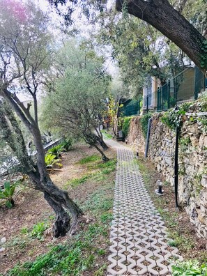 Parco della struttura