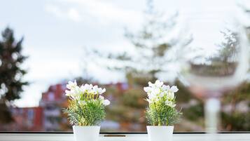 Deluxe Apartment, City View | Terrace/patio