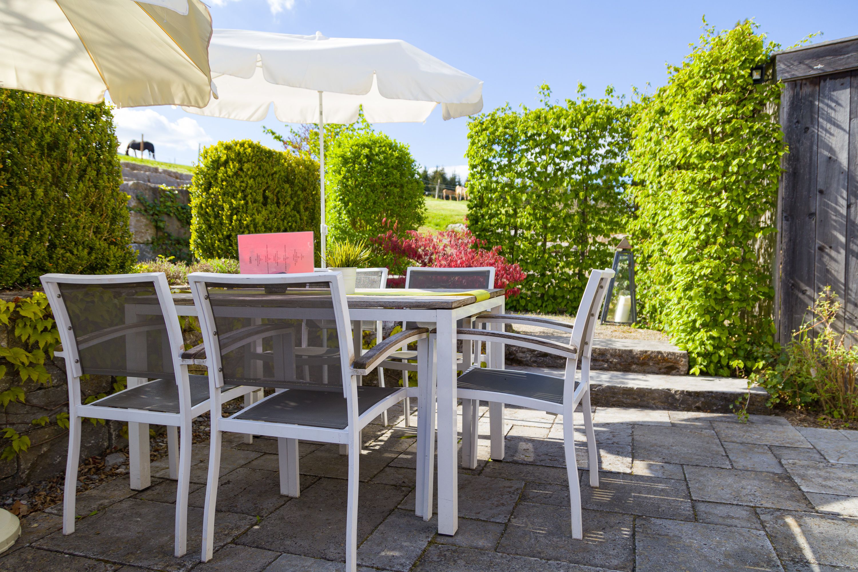 A patio with a table and chairs, surrounded by greenery and a wooden fence.