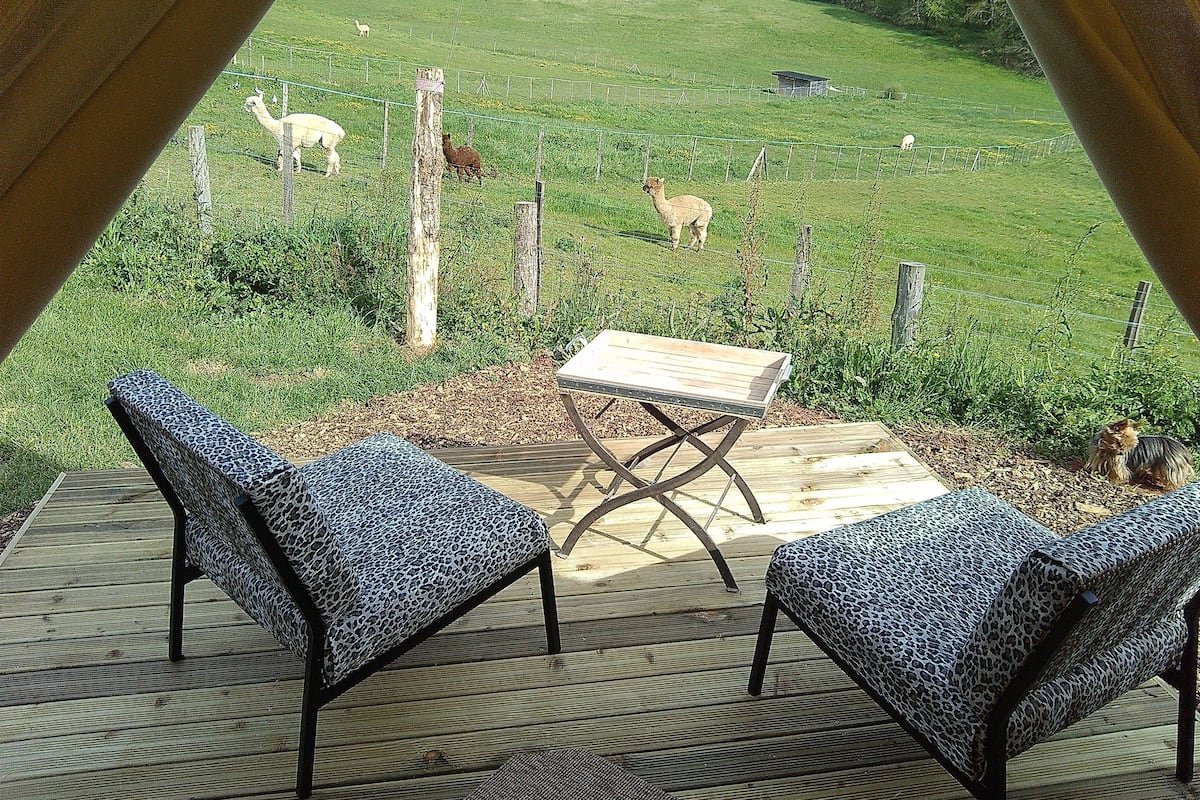 Tent (Saharienne) | Terrace/patio