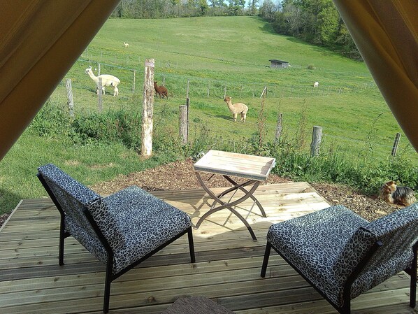 Tente (Saharienne) | Terrasse/Patio