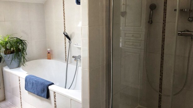 Ein Badezimmer mit einer Badewanne, einer Dusche und einem Blumentopf.