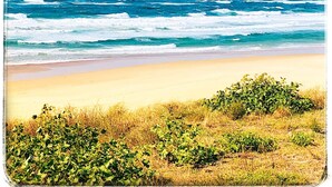 Ein Strand mit Wellen, Sand und grüner Vegetation.