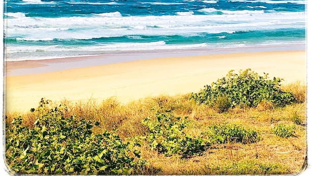 A beach with waves, sand, and green vegetation. - Au Clair Des Landes (Castets)