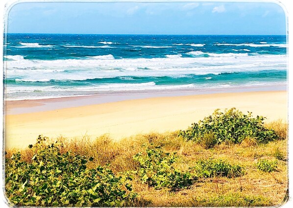 Beach - Au Clair Des Landes (Castets)