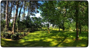 Jardim
