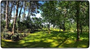 Taman