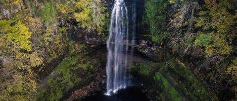 Una cascada rodeada de bosque denso.