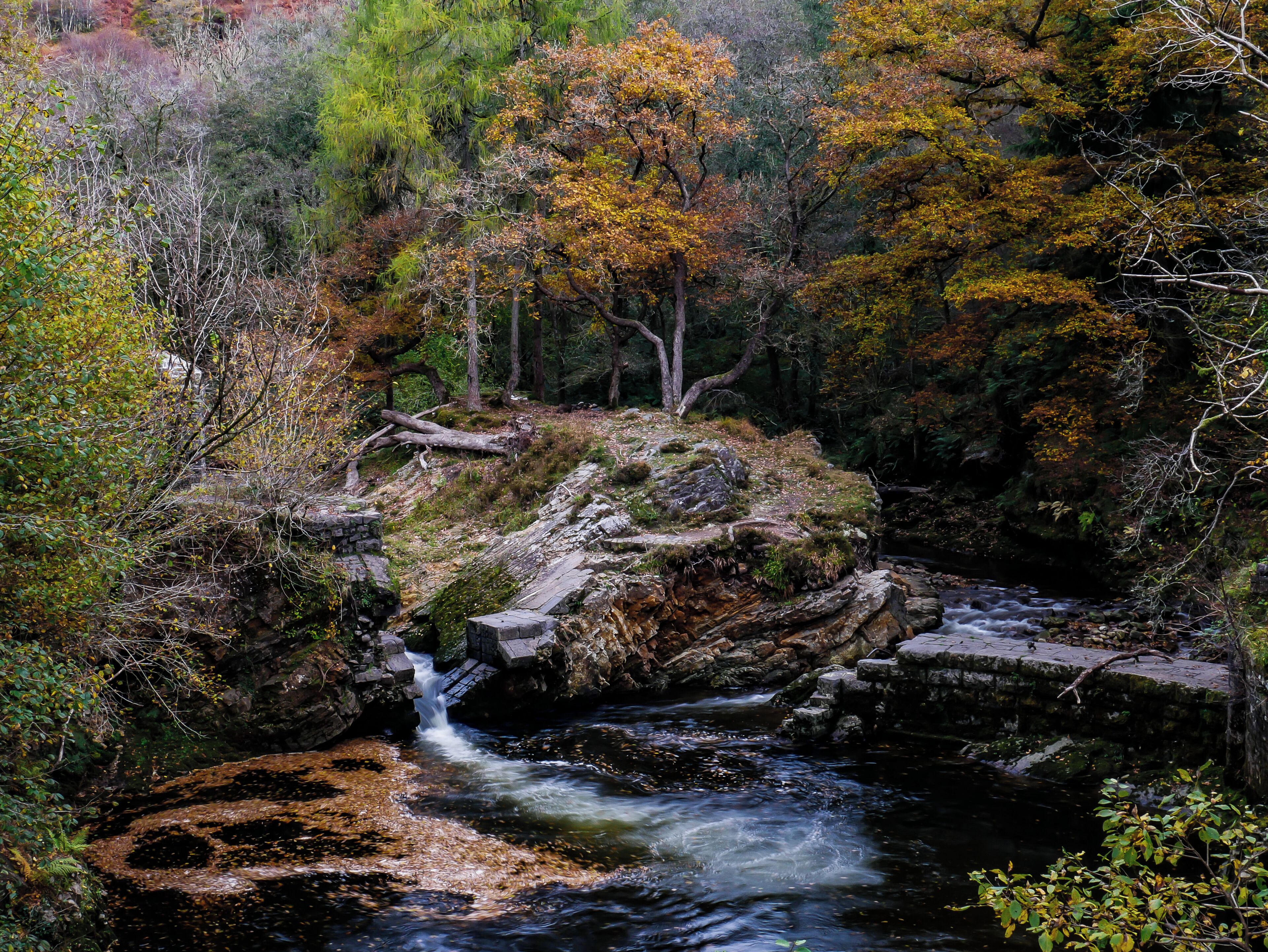 A natural landscape with a flowing stream, rocky terrain, and autumn-colored trees.