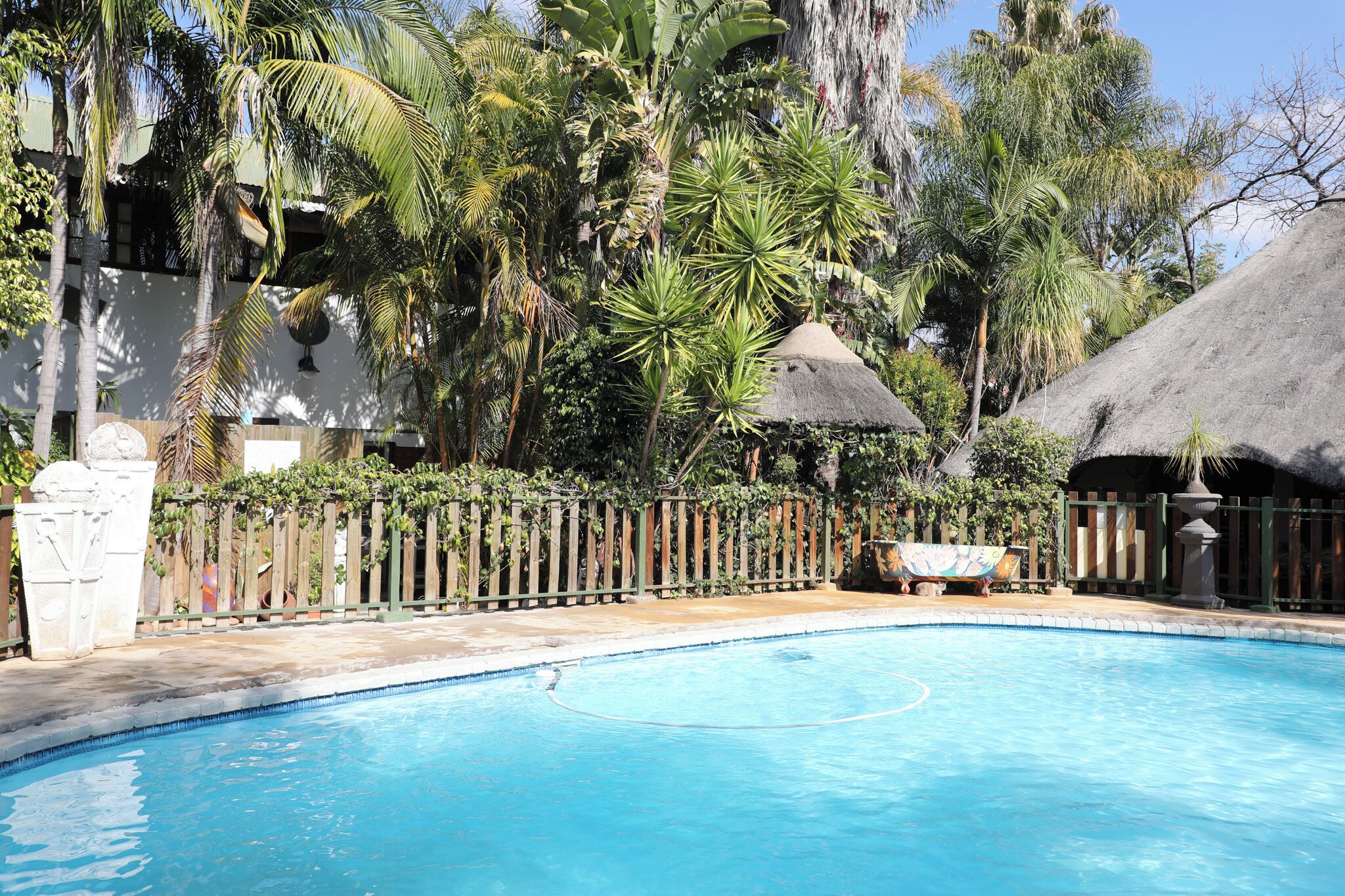 Outdoor pool, pool umbrellas, pool loungers
