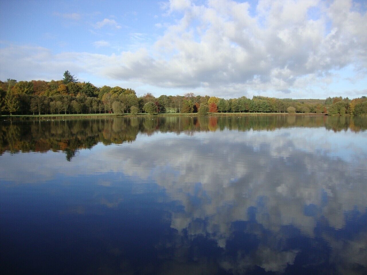 Un lac paisible dont les eaux reflètent clairement les arbres et le ciel.