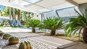Un'area esterna coperta con palme e cactus, caratterizzata da un design architettonico moderno con travi bianche e pavimento in cemento.