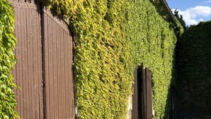 Een gebouw met een bruine buitenmuur, deels bedekt met groene klimop. Er zijn twee bruine deuren en een klein pad dat naar een poort leidt.