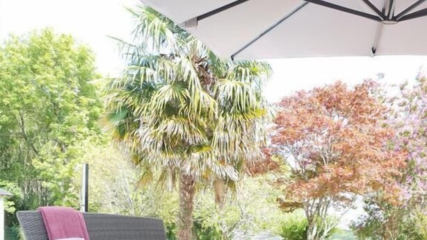 Een terras buiten met rieten meubels, waaronder een bank en een bijzettafeltje, onder een grote parasol.