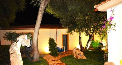 Cottage The Olive Trees -B- Studio apartment with garden