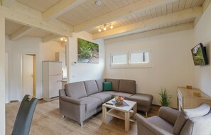 Een televisie en een open haard