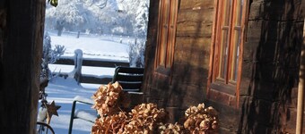 Apartment Bergblick -acceleration PUR