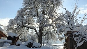 Un paisaje nevado con un árbol grande y una estructura de madera.